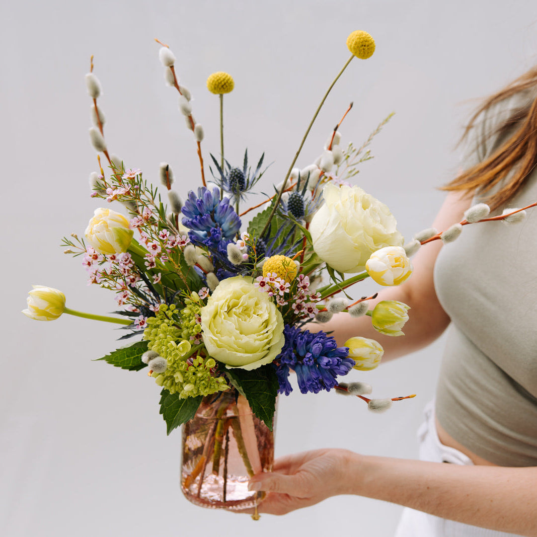 Designer's Choice Daily Deal