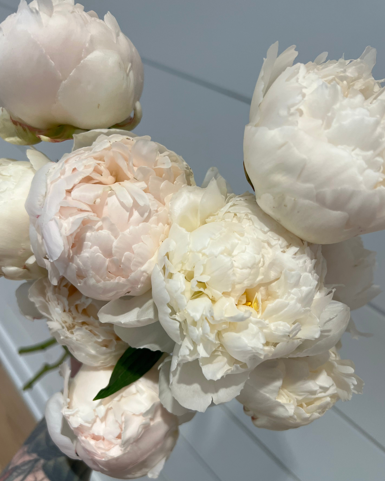 Peony Bunches